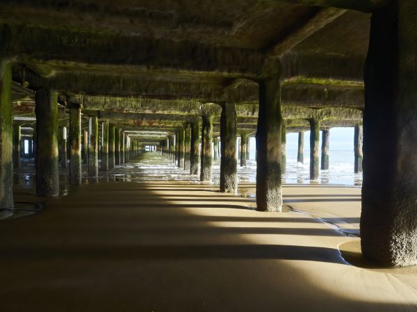 Cost of Pier And Beam Leveling in Livonia