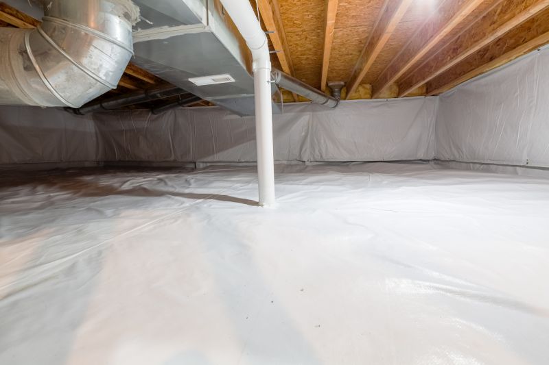 Pest Infestation in Unsealed Crawlspace
